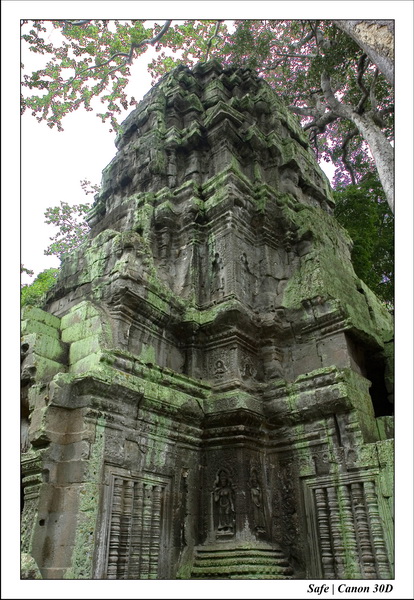2006 - 07 - Temple angkor - Ta Prohm 27